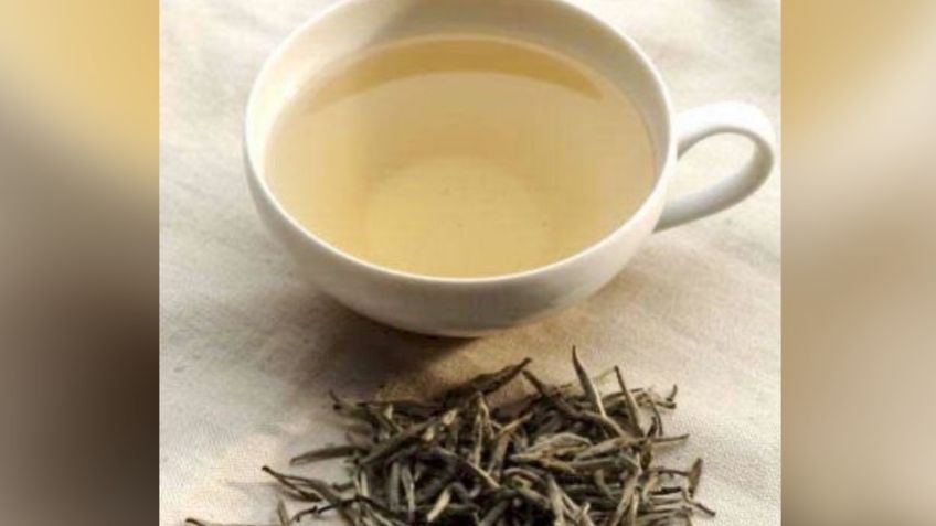 Té blanco: conoce todos los beneficios de esta infusión