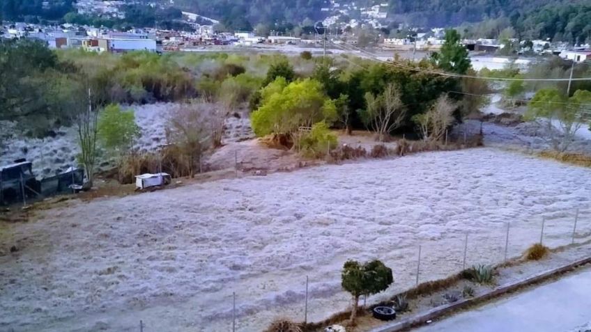 Registran afectaciones por helada en más de 12 colonias de San Cristóbal de las Casas