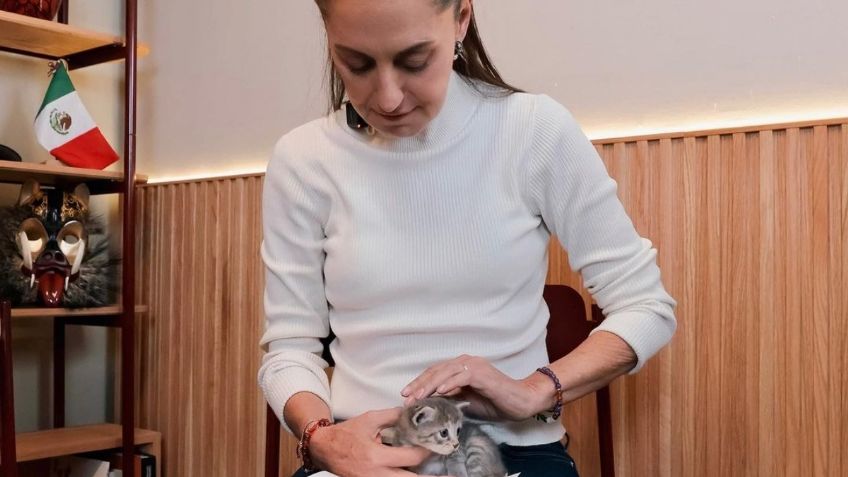 Claudia Sheinbaum invita a ser responsables con los animales de compañía