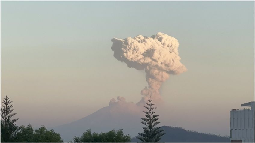 Popocatépetl emite intensa fumarola visible desde la CDMX: ¿qué zonas reportarán caída de ceniza?