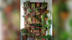 5 plantas hermosas que puedes colocar en un jardín vertical