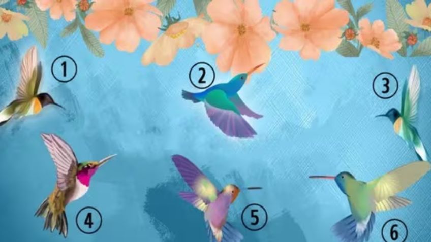 El color que eliges del colibrí te define como persona; descubre el resultado, te sorprenderá