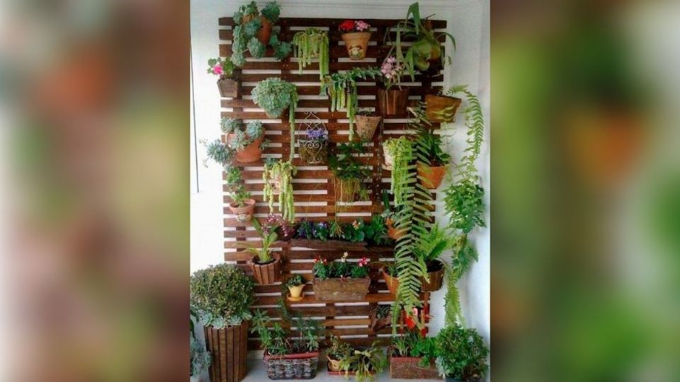 Los jardines verticales son ideales para las personas que tienen poco espacio en su casa