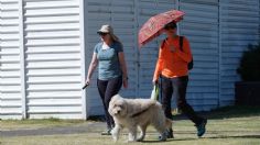 Activan alerta amarilla por calor en CDMX; estas alcaldías alcanzarán los 30 grados este jueves 22 de febrero