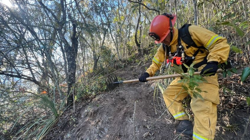 Protección Civil combate incendio que arrasó con 10 hectáreas de bosque en Santiago, Nuevo León