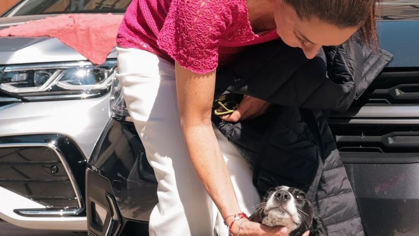 Claudia Sheinbaum comparte lo que le gusta a la perrita que adoptó