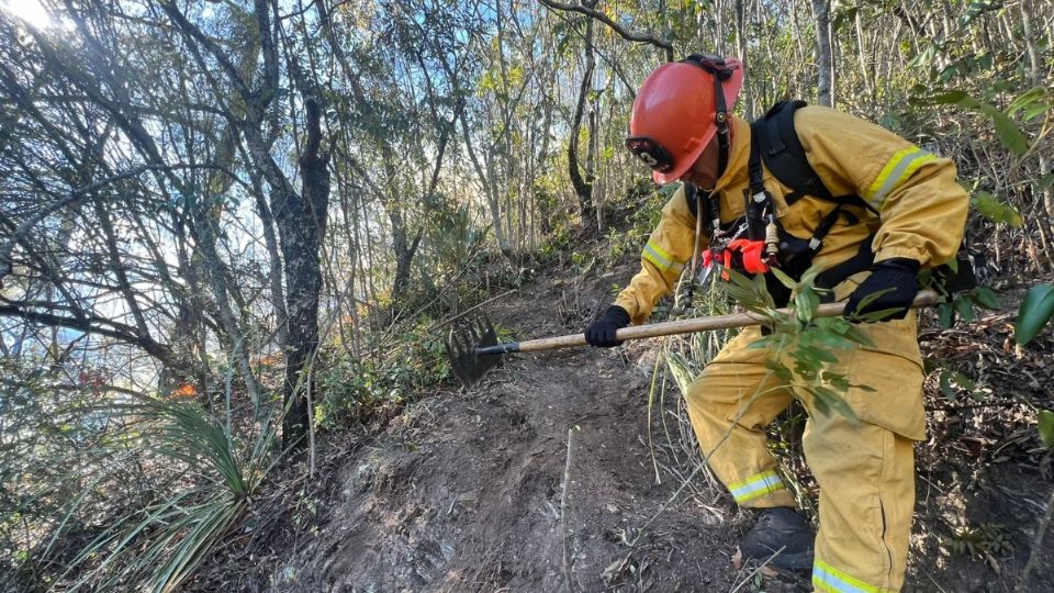 Brigadistas han combatido el siniestro desde la tarde del miércoles