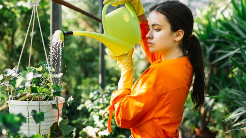 Es esencial que en esta época del año ahorremos agua, pero eso no quiere decir que vamos a descuidar nuestras plantas