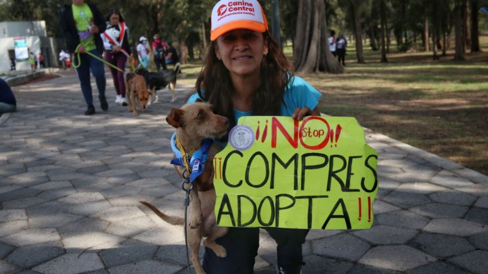 La adopción evita la sobrepoblación de animales callejeros