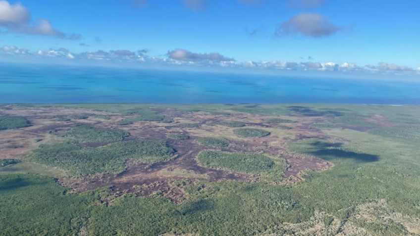 Incendio forestal consume 43 kilómetros cuadrados de la reserva ecológica de Dzilam de Bravo, Yucatán