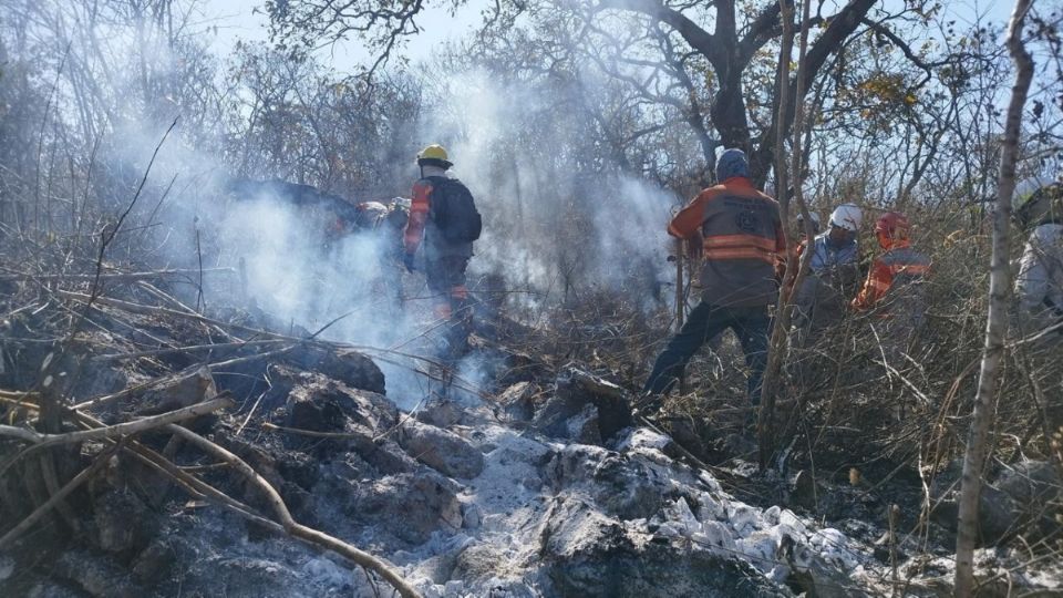 Colectivos cooperarán para combatir los incendios en el estado