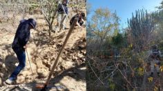 Hallan fosa clandestina con 113 restos óseos en Los Cabos, Baja California