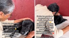 Abuelita conmueve las redes con tierno mensaje para despedir a su perro: "Para mí eres una familia" | VIDEO