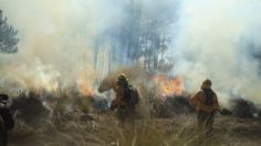 Incendios en Jilotzingo son provocados: alcaldesa