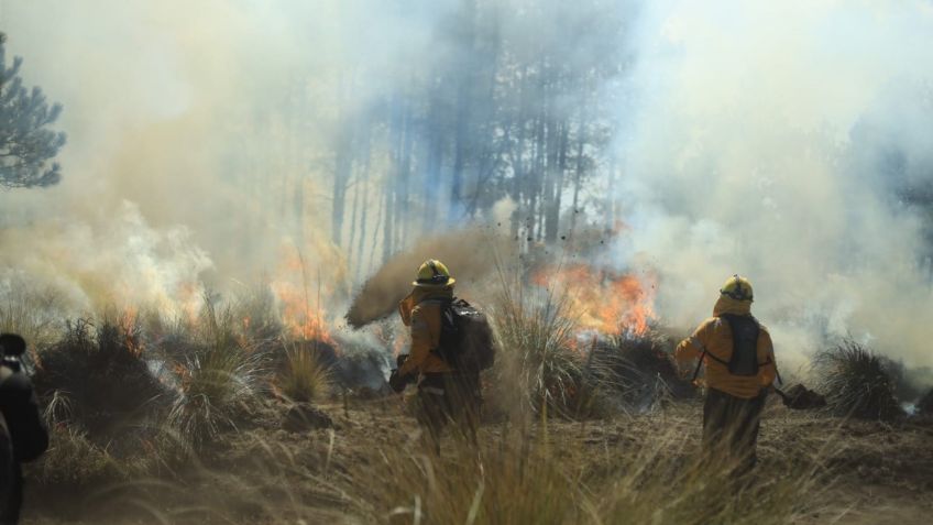 Incendios en Jilotzingo son provocados: alcaldesa