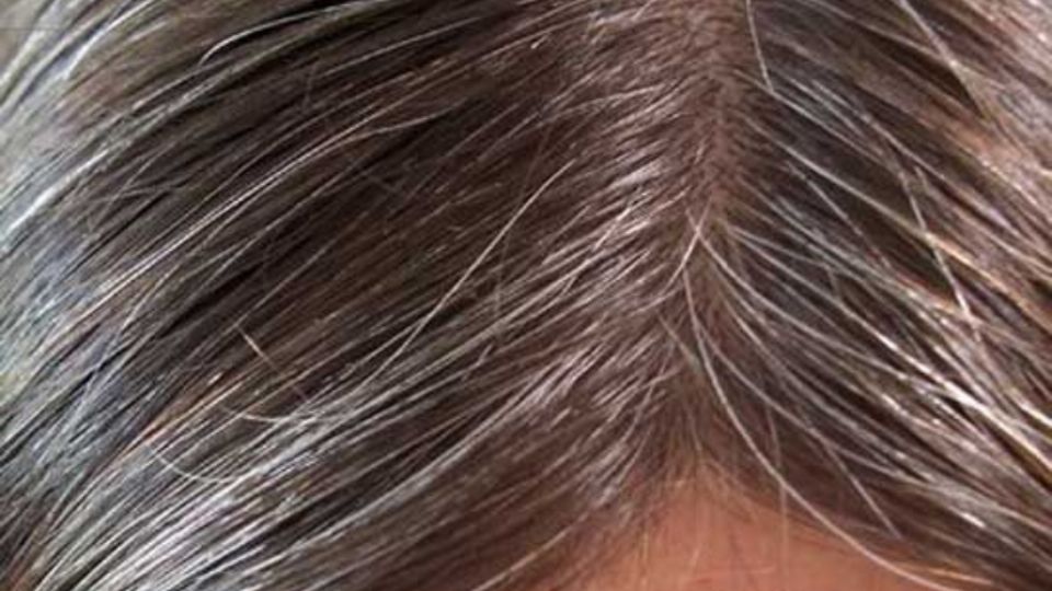 Despídete de las canas: así puedes eliminarlas de tu cabello sin usar amoniaco