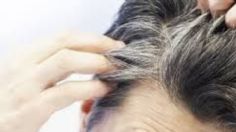 ¿Cuál es el trucazo para eliminar las canas? Tip ideal para todas las generaciones