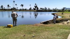 Intensifican brigadas de fumigación contra el mosco transmisor del Dengue en Guerrero