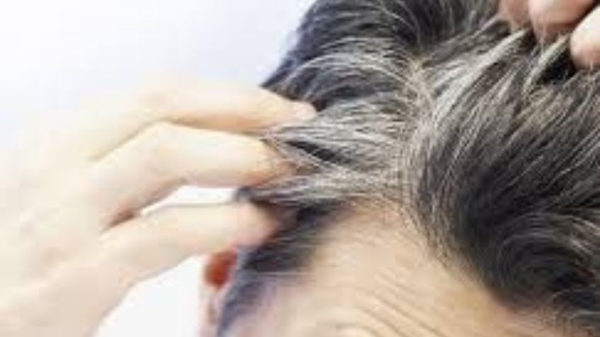 ¿Cuál es el trucazo para eliminar las canas? Tip ideal para todas las generaciones