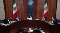 AMLO, programas sociales ni el crimen organizado influyeron en resultados electorales, resuelve el TEPJF