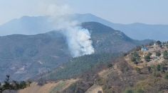 VIDEO: incendio forestal en el Valle de Tlacolula se extiende a otras comunidades y deja 5 muertos 