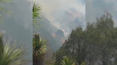 FOTOS: sofocan incendio forestal en Cadereyta, Querétaro