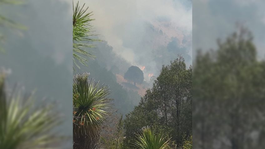 FOTOS: sofocan incendio forestal en Cadereyta, Querétaro