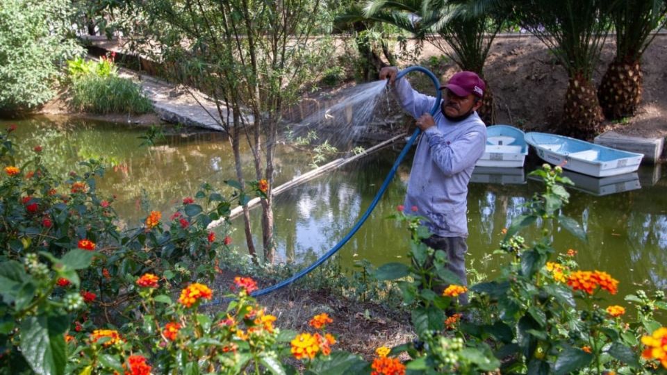 Las autoridades capitalinas tienen en marcha distintos proyectos para priorizar el desarrollo ambiental.