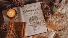 3 regalos de Harry Potter que puedes darle a una amante de la saga para que se sienta en el mundo mágico, por menos de 300 pesos