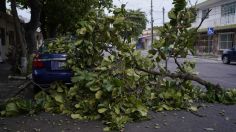 Frente Frío 32 ocasionará tolvaneras y vientos fuertes en CDMX y Edomex este 4 de febrero