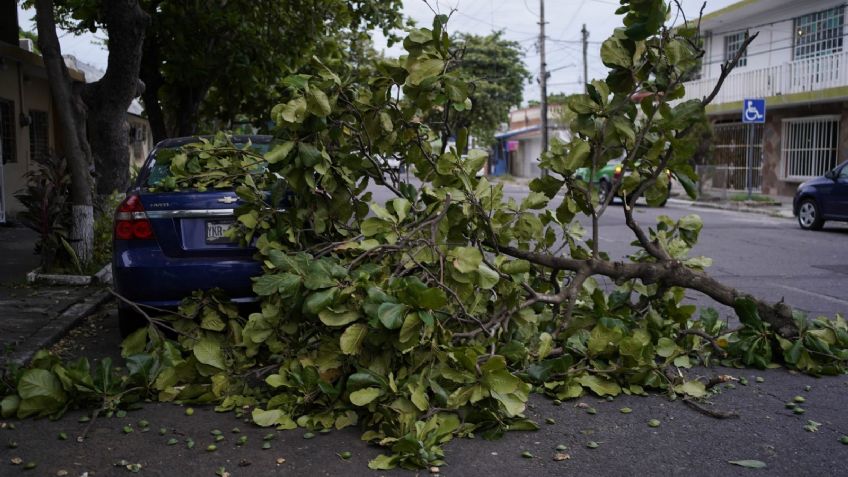 Frente Frío 32 ocasionará tolvaneras y vientos fuertes en CDMX y Edomex este 4 de febrero