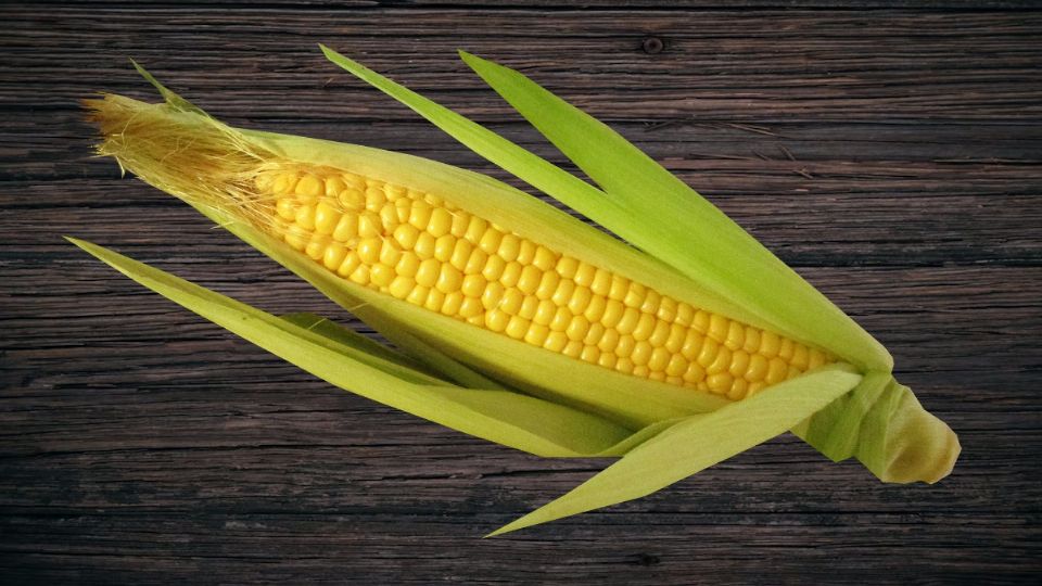 El elote contiene altas cantidades de vitamia A