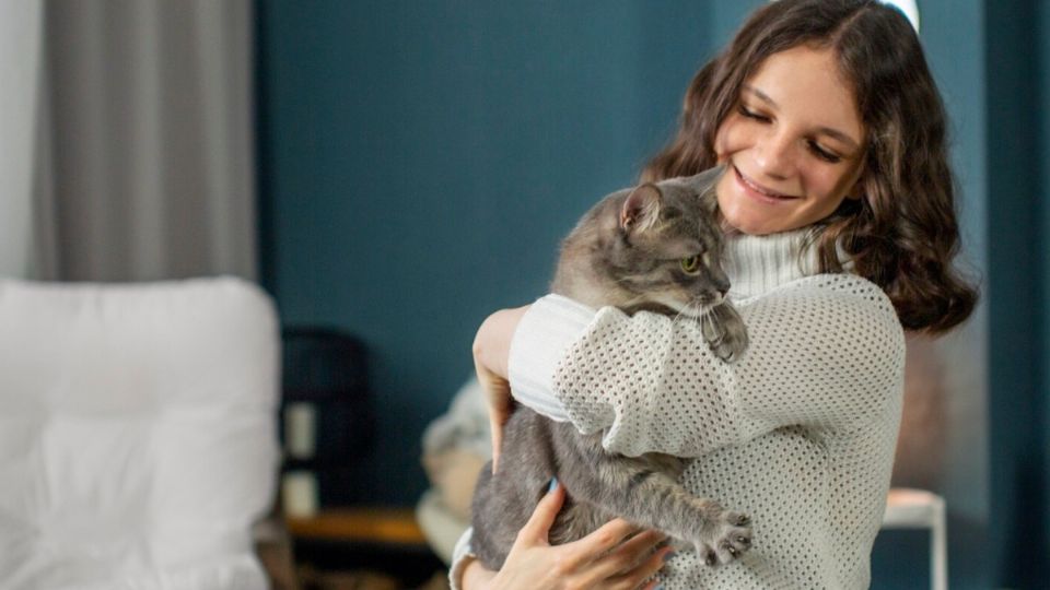 Es crucial elegir la raza de tu gato si vives en un espacio pequeño, pues no todos los gatos tienen el mismo temperamento