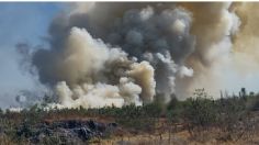 Incendio consume el Parque Ecológico de Cuemanco, en la alcaldía Xochimilco | VIDEO