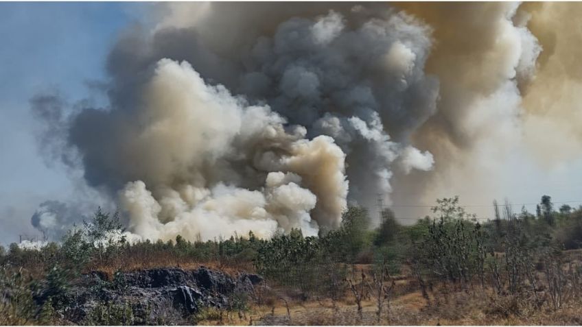 Incendio consume el Parque Ecológico de Cuemanco, en la alcaldía Xochimilco | VIDEO