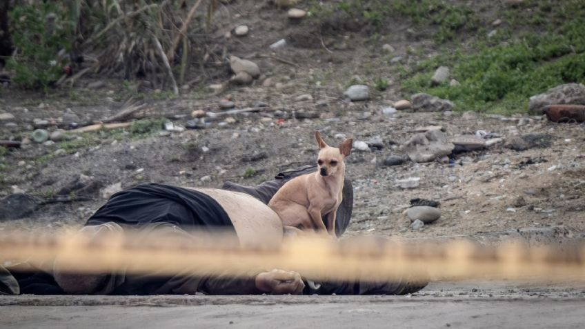 ¡Lealtad hasta el final! Perrito cuida a su amo, quien fue ejecutado en una colonia de Tijuana