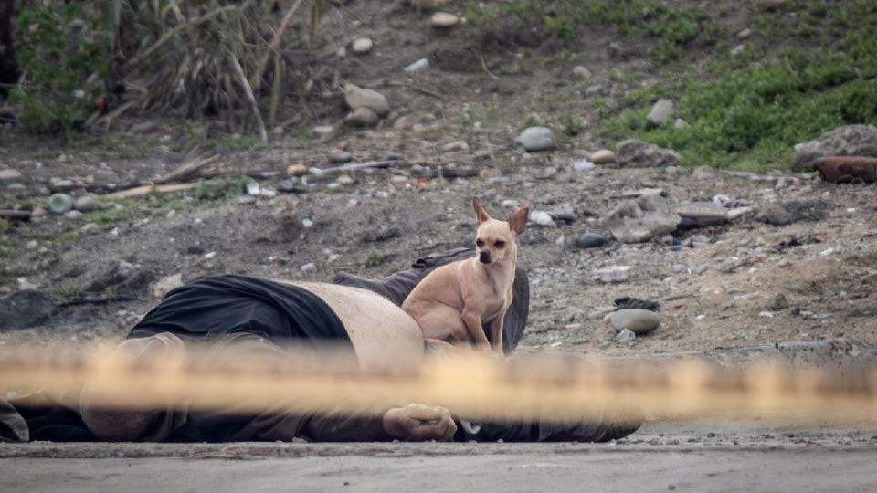 El perrito impedía que las personas se acercaran al cuerpo de su amo.