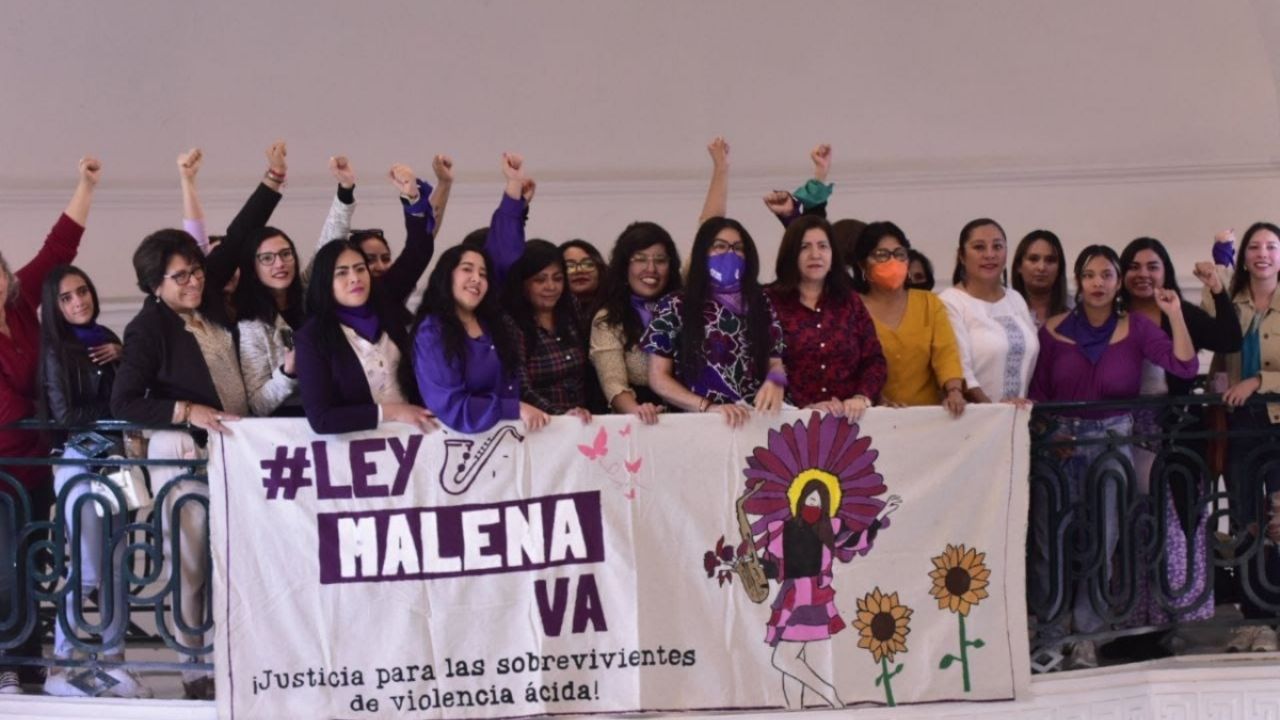 Ley Malena ¿cuál Es La Sanción Por Cometer Violencia ácida Contra