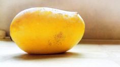 ¿Cómo sembrar tus propios mangos en casa? Sencillo truco con solo una utilizar su hueso 