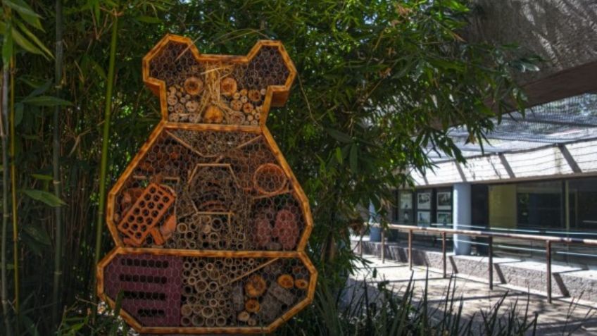 Construye CDMX hoteles para insectos en Centros de Conservación para Fauna Silvestre