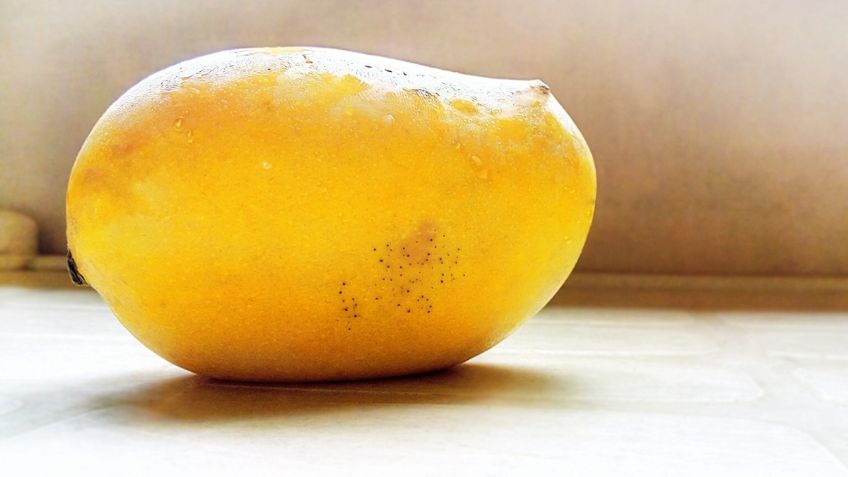 ¿Cómo sembrar tus propios mangos en casa? Sencillo truco con solo una utilizar su hueso 