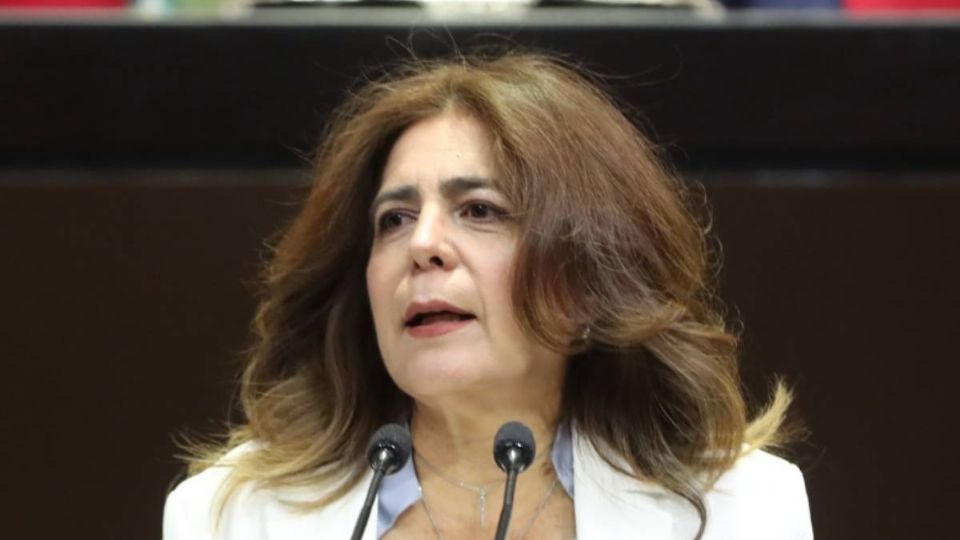 La diputada aseguró que hay un frente a favor de las reformas propuestas por AMLO