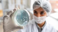 Investigadores descubren nueva forma para controlar las infecciones bacterianas