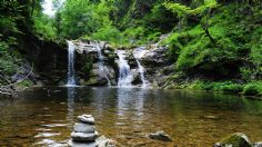 Sonidos de agua, escúchalos para relajarte y encontrar la sanación física