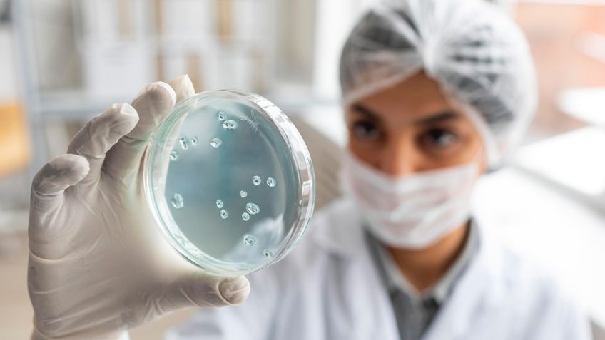 Investigadores descubren nueva forma para controlar las infecciones bacterianas