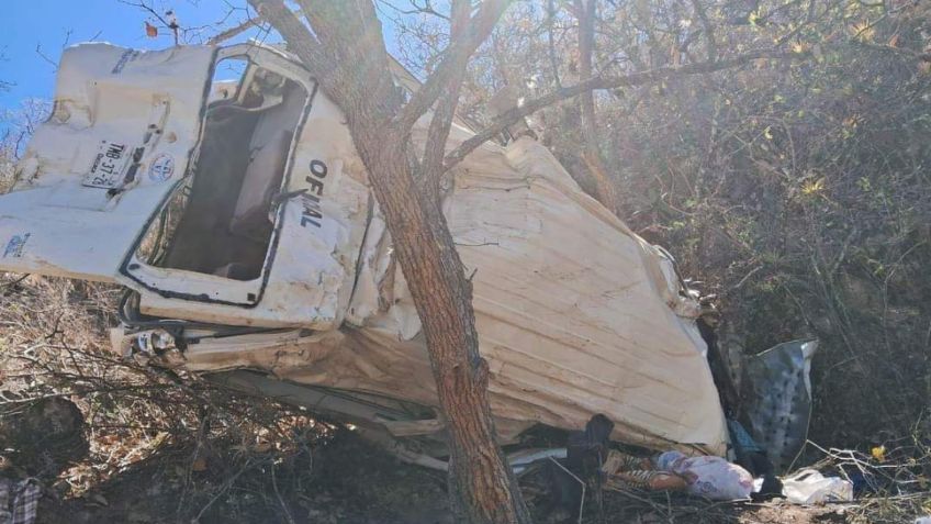 Una camioneta de transporte público cae a un barranco en la carretera Oaxaca-Tuxtepec, hay 4 muertos