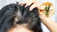 Cuál es el remedio natural con romero y salvia para eliminar las canas del cabello