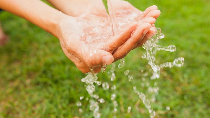 3 acciones simples para ahorrar agua en tu hogar y cuidar el planeta