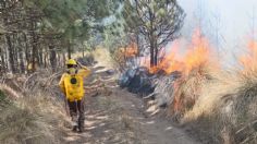 Aumentan 25% incendios en Edomex; buscan evitar que suba a primer lugar a nivel país