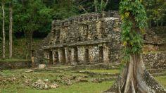 Reabren zona arqueológica de Yaxchilán en Frontera Corozal, Chiapas